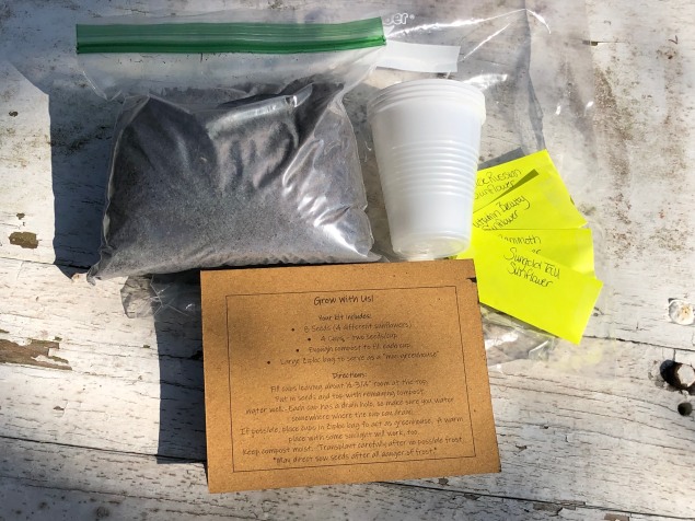 The kit includes seeds, cups to plant in, organic compost, and direction card.